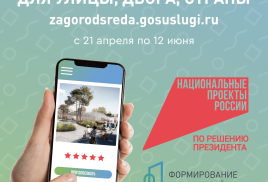 Голосование за важное для улицы, двора, страны